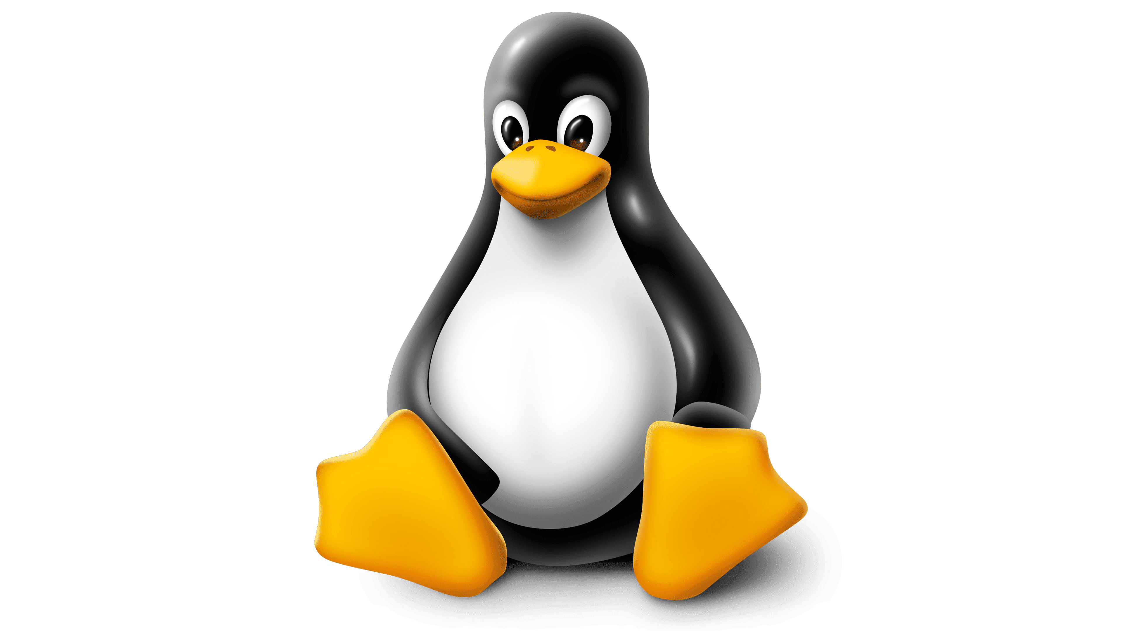 Linux System Administrator